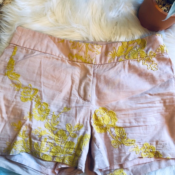 🌸🌸 J Crew Embroidered Cotton Shorts💋 - Picture 3 of 8